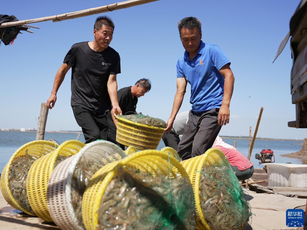 捕鱼24小时上下分现金